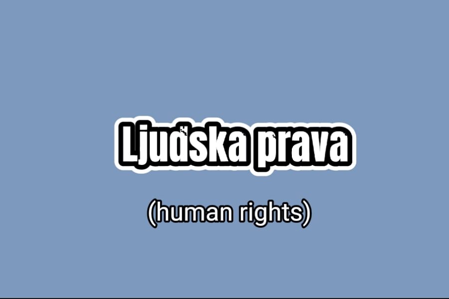 Људска права / 135